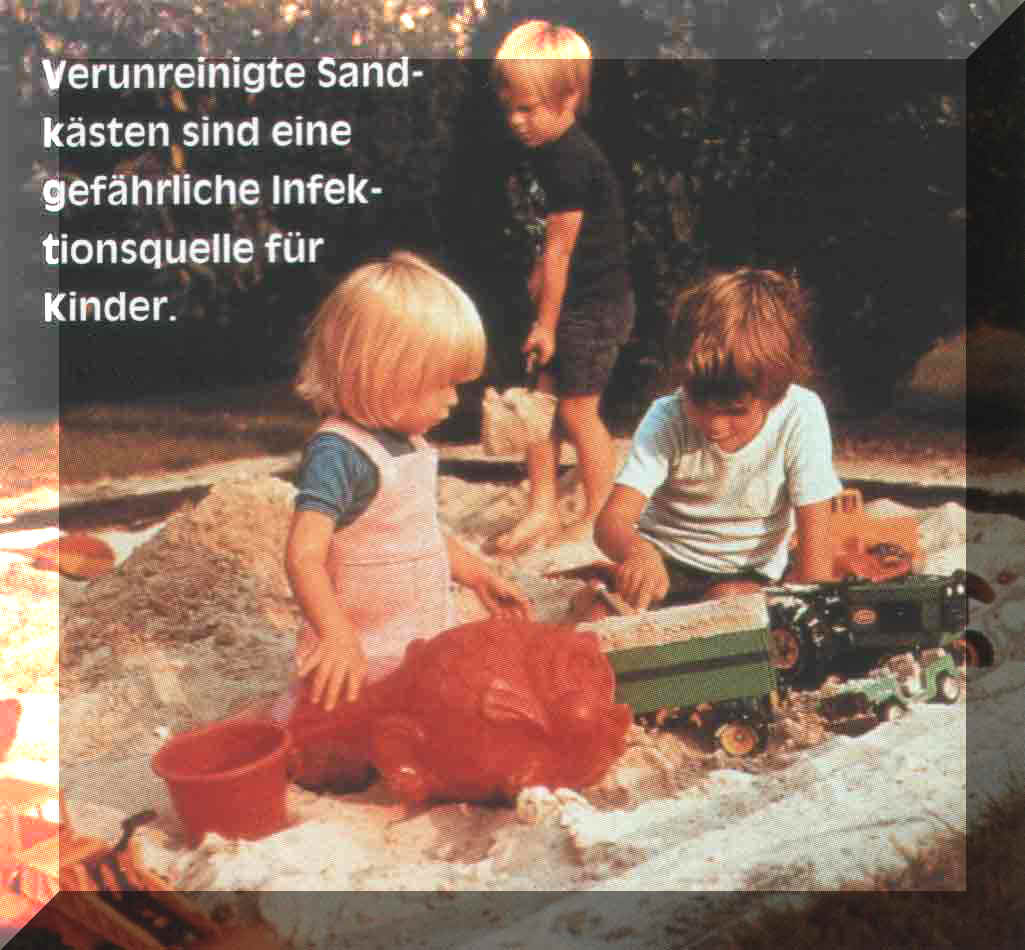 Verunreinigte Sandk�sten - eine Infektionsquelle !